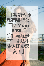 智能驾驶都有哪些公司？Momenta“穿行桥底迷宫”无法不令人印象深刻！